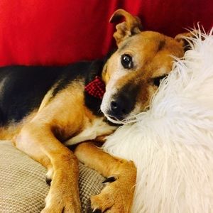 Meet your Posher, Tonya